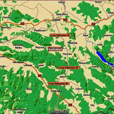Landhuis Pokoje Goscinne Binczarowa Kamionka Wielka